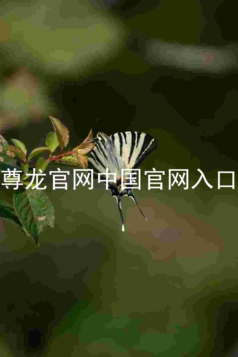 尊龙官网中国官网入口