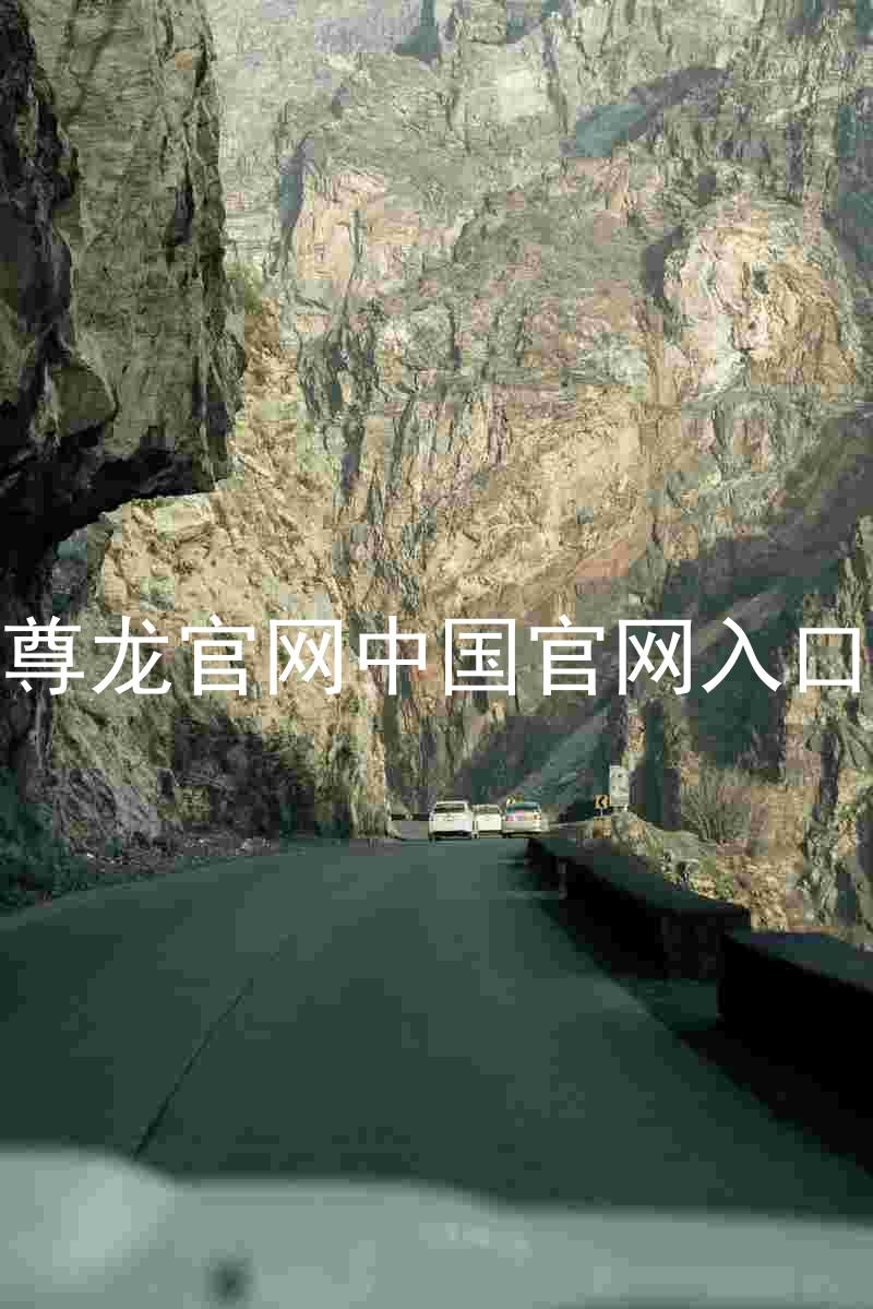 尊龙官网中国官网入口