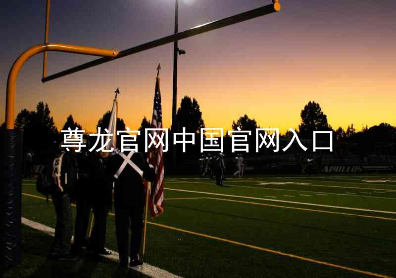 尊龙官网中国官网入口