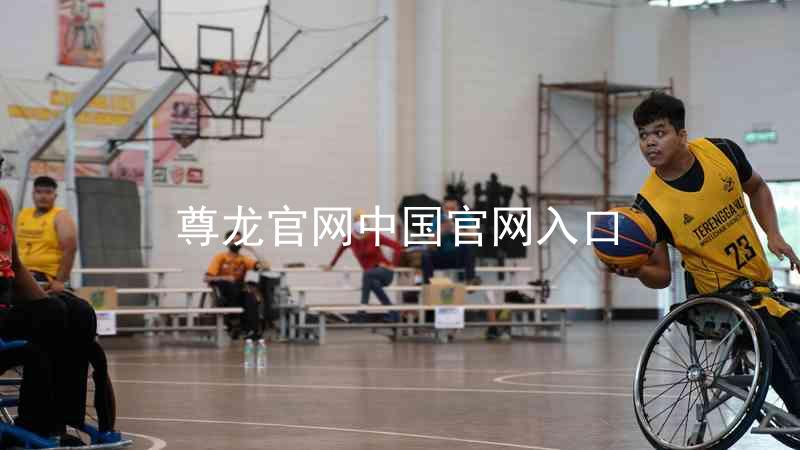 尊龙官网中国官网入口