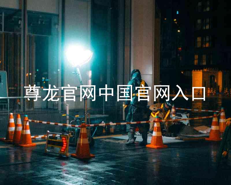 尊龙官网中国官网入口