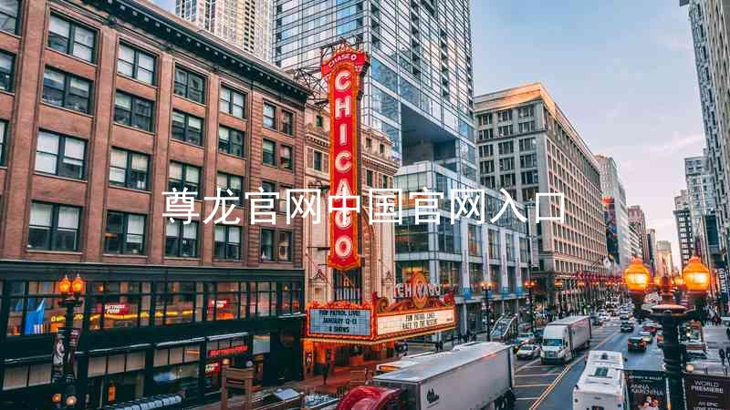 尊龙官网中国官网入口
