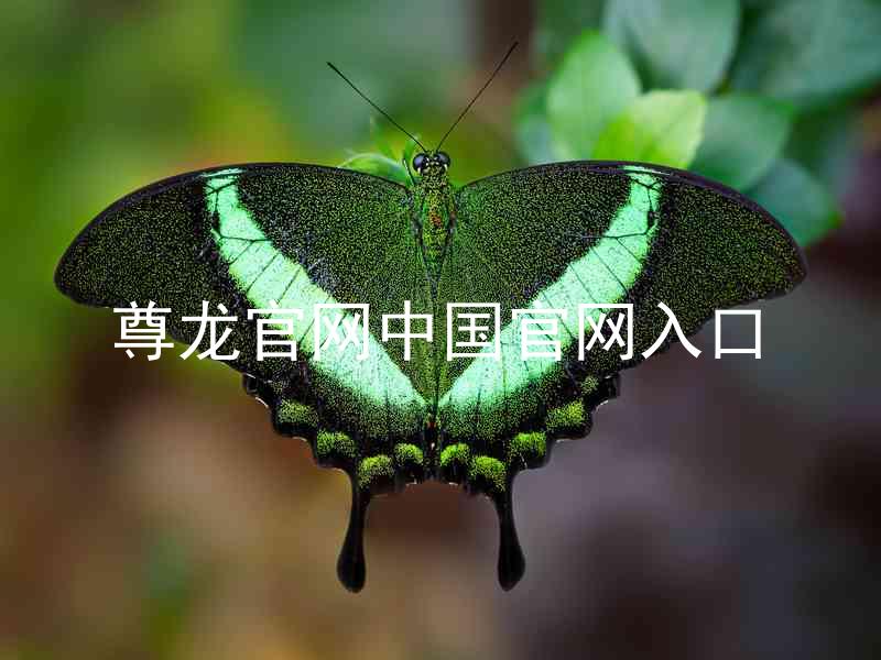 尊龙官网中国官网入口