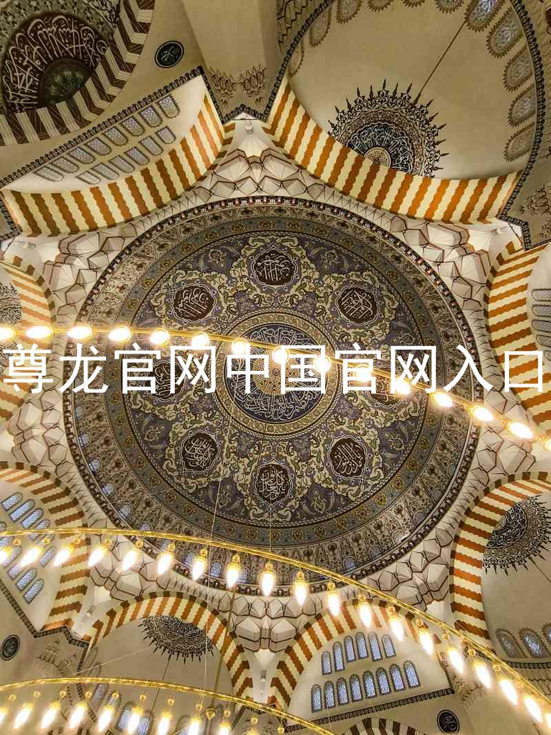 尊龙官网中国官网入口