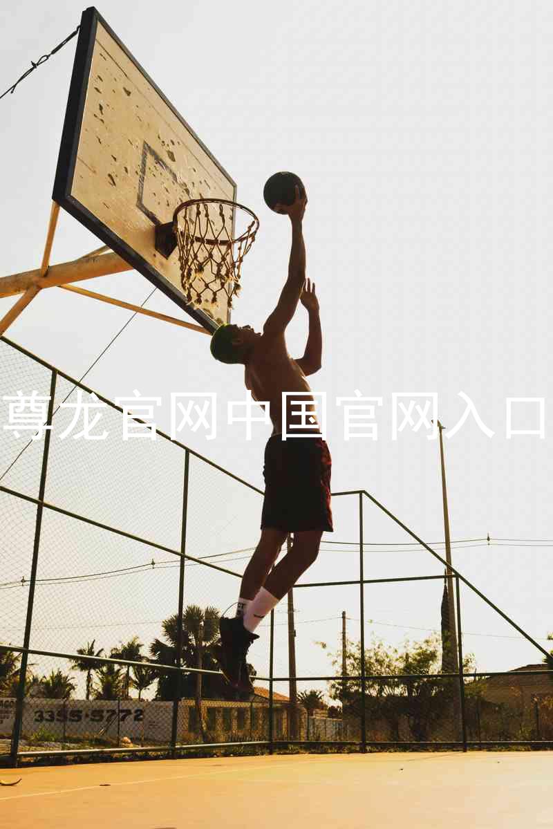 尊龙官网中国官网入口