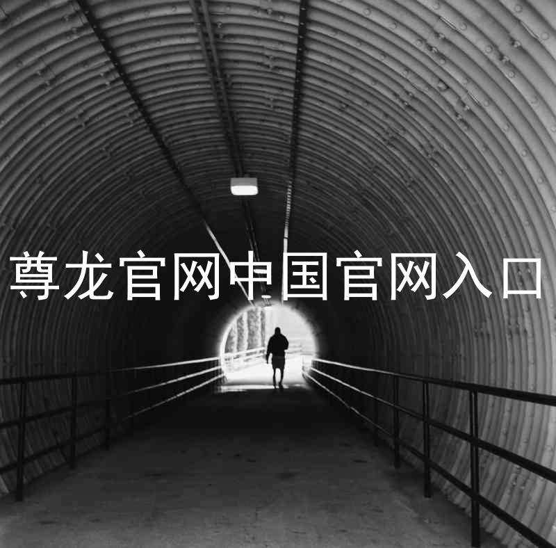 尊龙官网中国官网入口