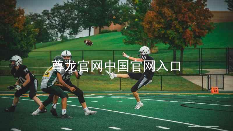 尊龙官网中国官网入口