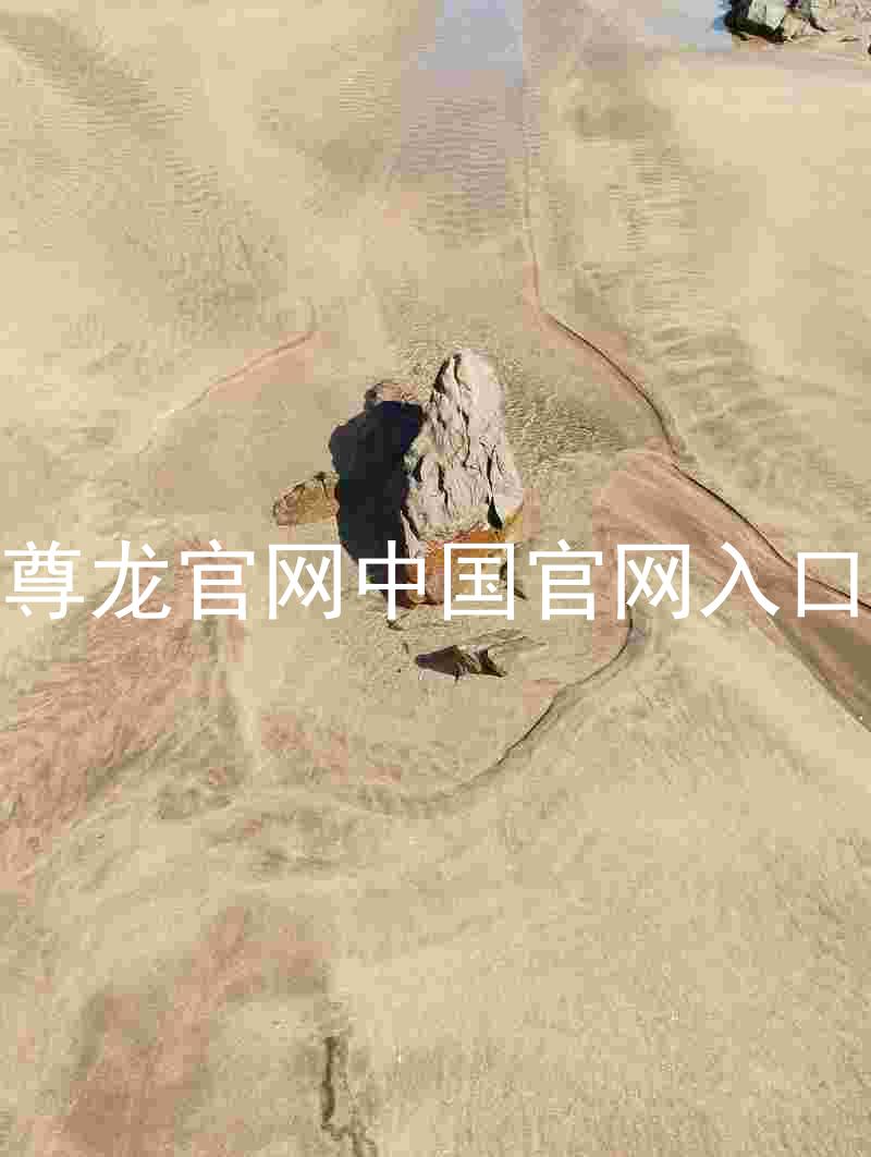 尊龙官网中国官网入口